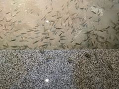 -宝丽金大酒店·洗浴中心