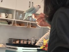 -Bai Meow法式西点咖啡