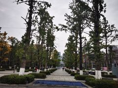 -两江幸福广场