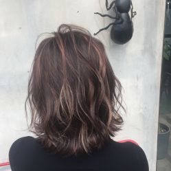 -蚂蚁造型沙龙