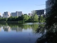 -大兴滨河森林公园