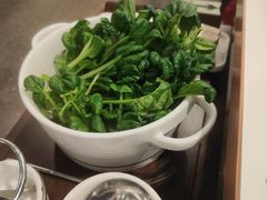 -烹然四季椰子鸡火锅(姚家园万象汇店)