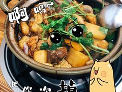 -奇味鸡煲(麦地店)