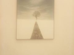 -武氏真功夫(第15店·正阳中路店)