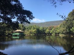 -灵谷景区