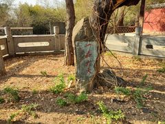 -泰山风景名胜区-普照寺
