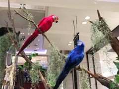 -Seesaw Coffee(朝阳大悦城店)