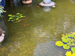 -三亚亚龙湾雅高美爵酒店