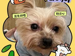 -和它·交个朋友·狗咖猫咖(爱琴海店)