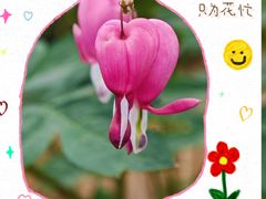 -仁和公园(顺义区)