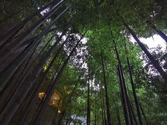 -穹六人间 people 6(岳阳路店)