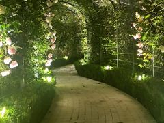 -杭州香格里拉·香宫中餐厅