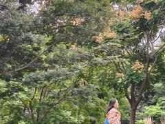 -长广溪湿地公园