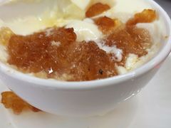 -义顺牛奶公司(新马路老店)