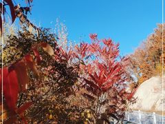 -云蒙山风景区