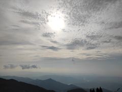-武陵山森林公园