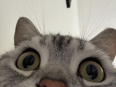 -天津市第一殡仪馆