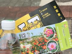 -上海鲜花港