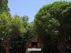 -兴教寺
