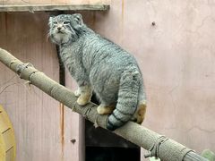 -青藏高原野生动物园