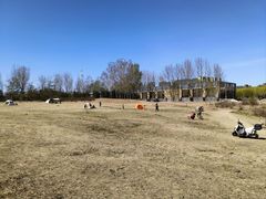 -马家湾湿地公园