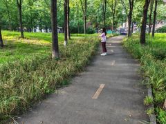 -望湖公园