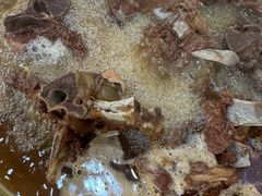 -芦月轩羊蝎子(北蜂窝店)