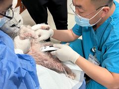 -宠颐生中康贝怡动物医院