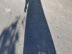 -鹿亭中村