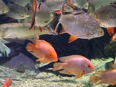 -太平洋海底世界