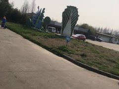 -上海都市菜园