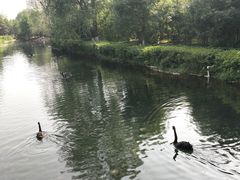 -长白岛森林公园