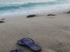 -白沙湾海滩