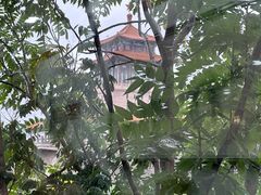 -教师之家赵家羊汤馆(东青龙街店)