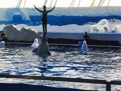 -秦皇岛乐岛海洋王国