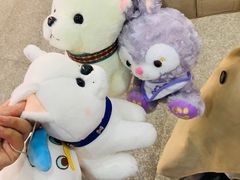 -奇奇乐园电玩城(立丰国际购物广场店)