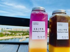 -莫内艺术岛海景咖啡