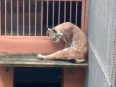 -青藏高原野生动物园