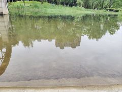 -洋湖国家湿地公园