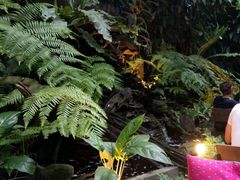 -Fern Forest Cafe