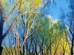 -皇家御河游(紫御湾码头)