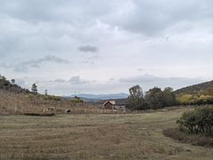 -御道口草原森林风景区