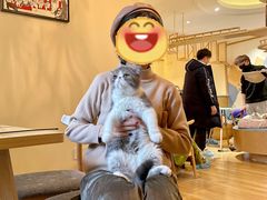 -滚猫咖啡·猫咖·猫友好撸猫(未来城店)