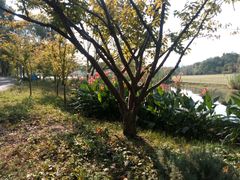 -昆山城市生态森林公园