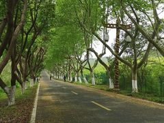 -宜兴龙背山森林公园