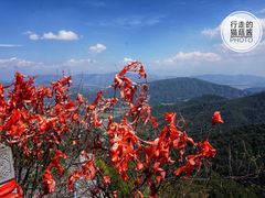 -腾冲云峰山
