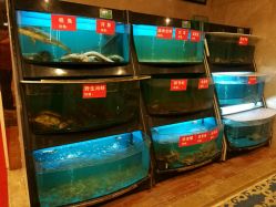 -先锋国际宴会中心(先锋国际广场店)