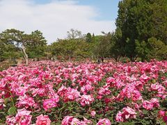 -陶然亭公园