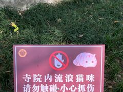 -西园戒幢律寺