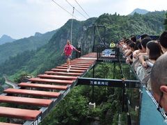 -梦幻奥陶纪景区